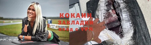 бошки Ельня