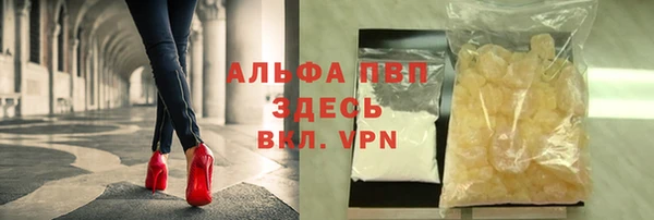 прущие грибы Новокубанск