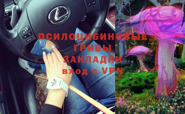2c-b Елабуга