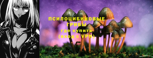а пвп мука Пересвет
